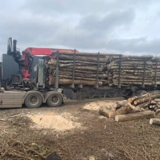 Camion de 60 stères, Hêtre Chêne Charme en grume